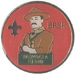 Brownsea Island Hatpin 